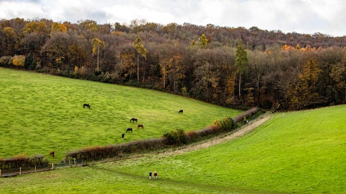Echo valley view, Hughenden, Bucks